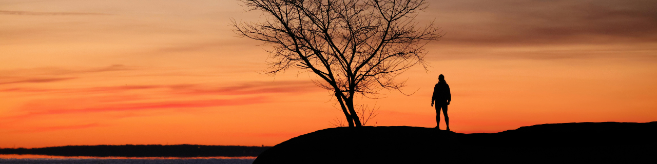 A sunset, with someone standing under a tree on a hill